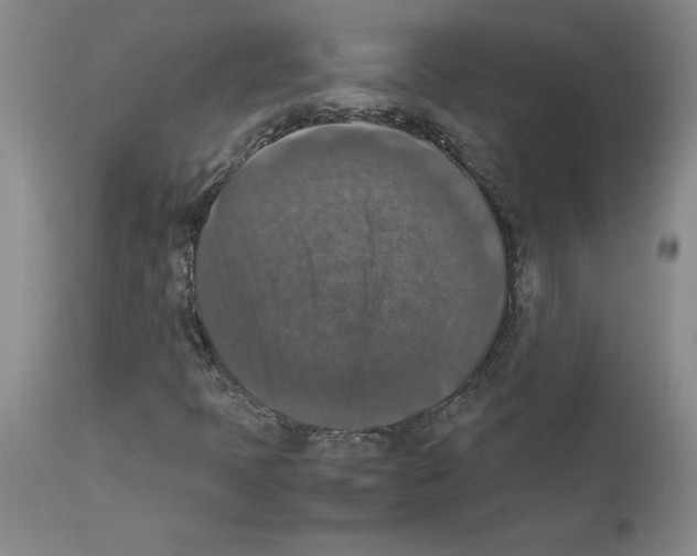 X0000113951397200911061253