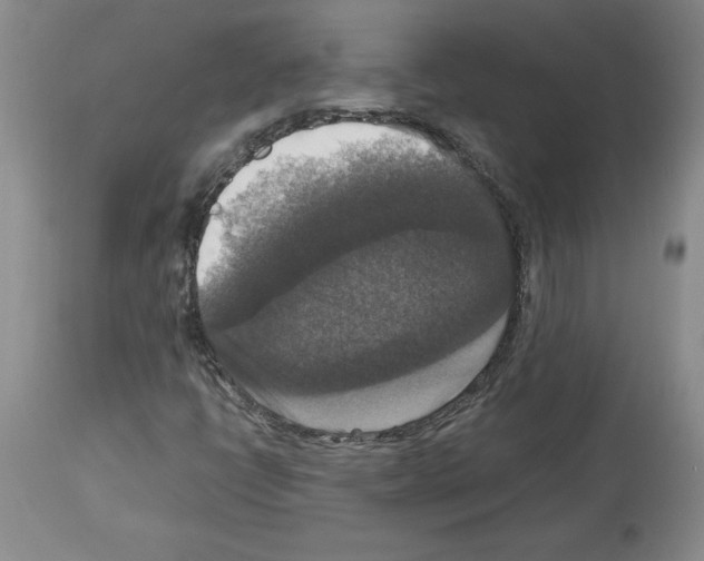 X0000113951398200911061253