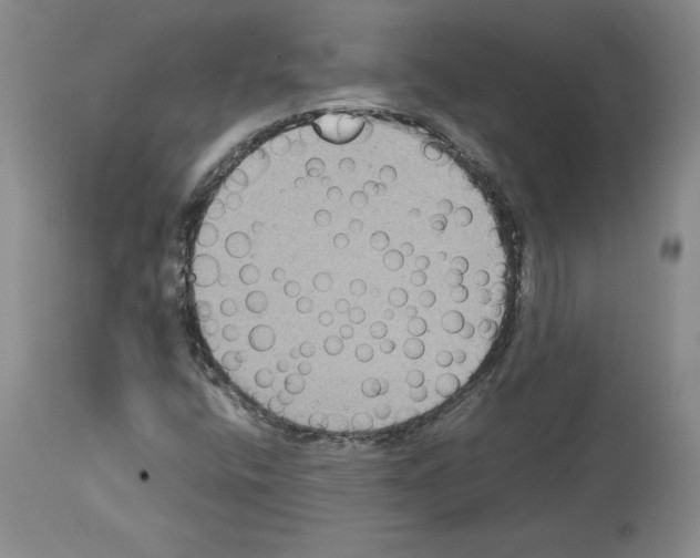 X0000113951400200911061253