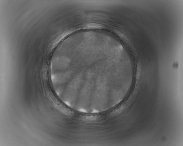 X0000113951401200911061253