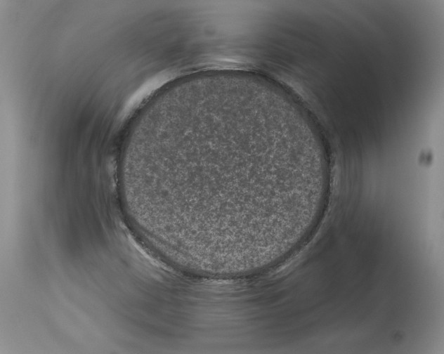 X0000113951402200911061253
