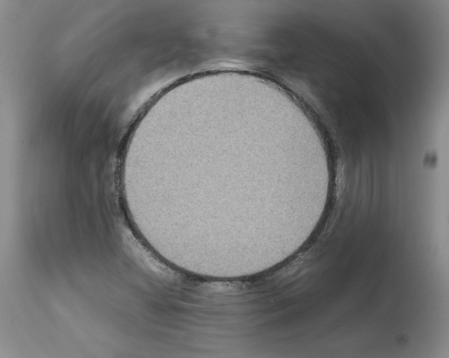 X0000113951404200911061253
