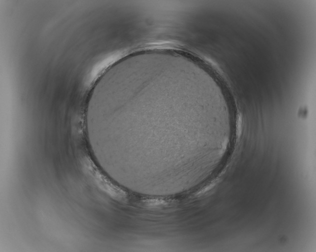 X0000113951405200911061253