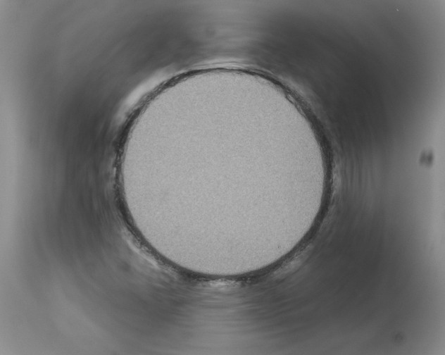 X0000113951406200911061253