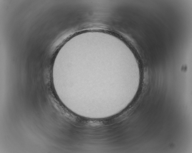 X0000113951407200911061253