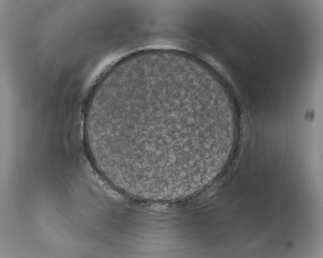 X0000113951408200911061253