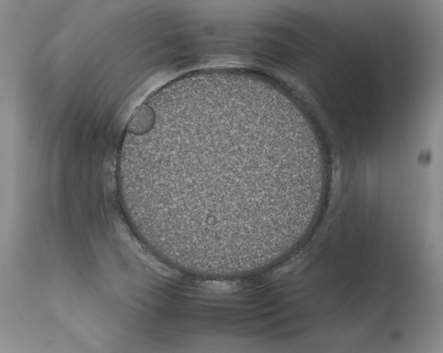 X0000113951409200911061253