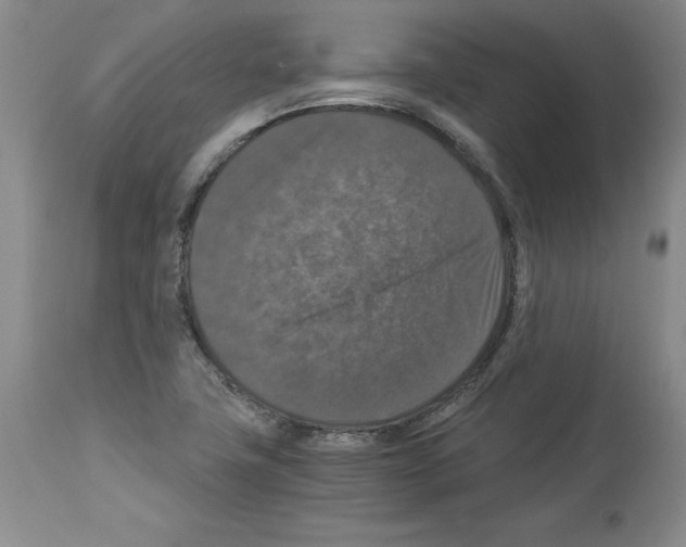 X0000113951411200911061253