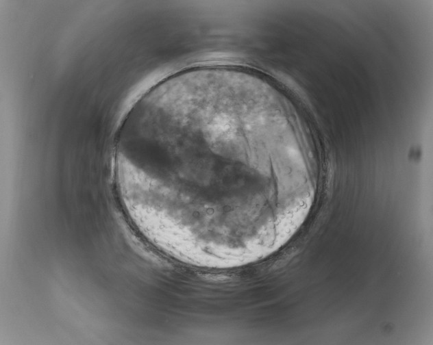 X0000113951413200911061253