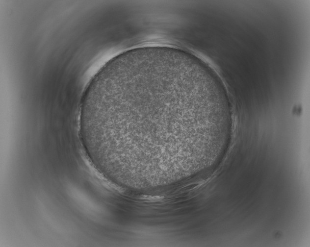 X0000113951415200911061253