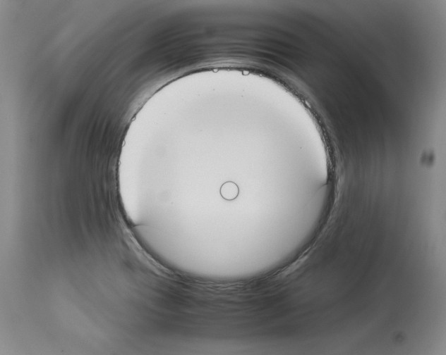 X0000113951417200911061253