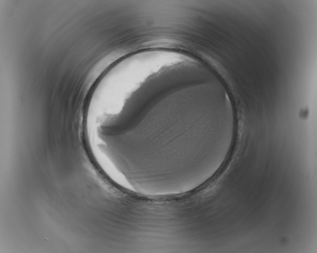 X0000113951418200911061253