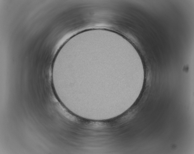 X0000113951420200911061253