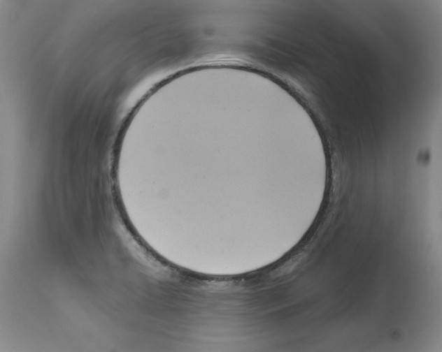 X0000113951422200911061253
