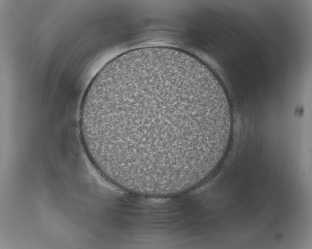 X0000113951423200911061253