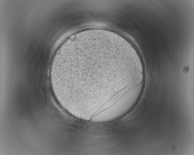 X0000113951424200911061253