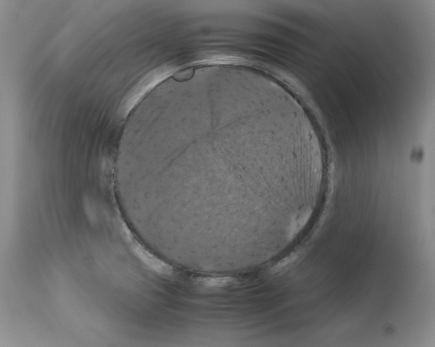 X0000113951425200911061253