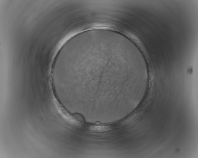 X0000113951427200911061253