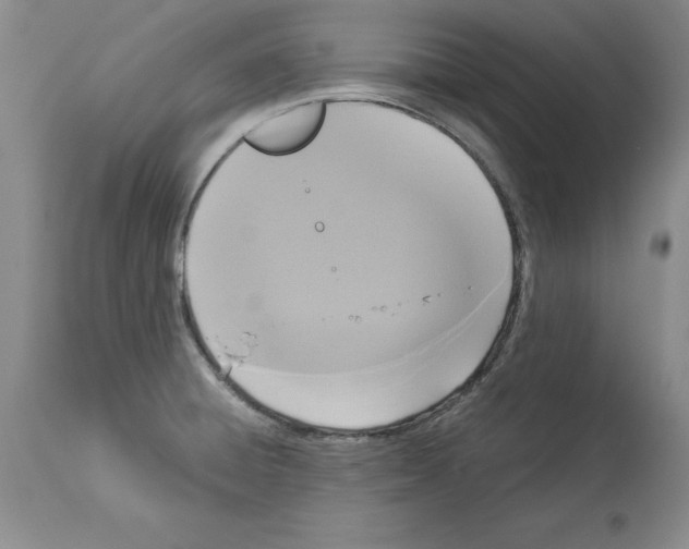 X0000113951428200911061253