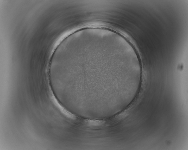 X0000113951429200911061253