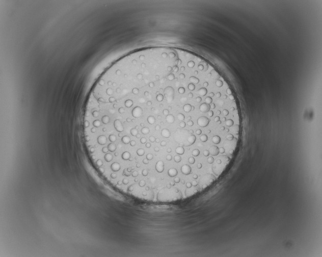 X0000113951432200911061253