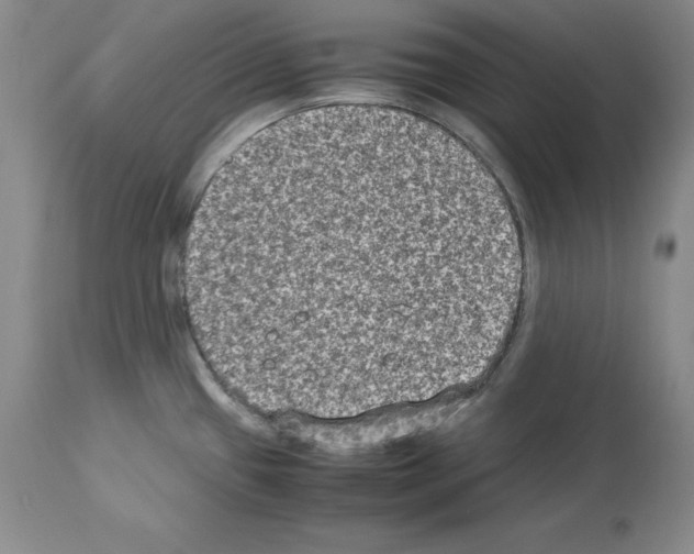 X0000113951433200911061254