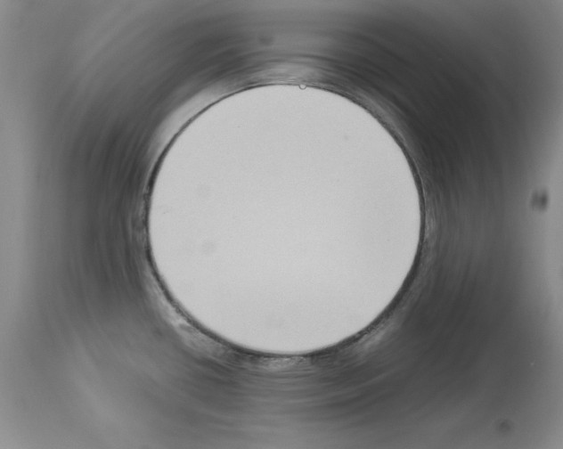 X0000113951434200911061254