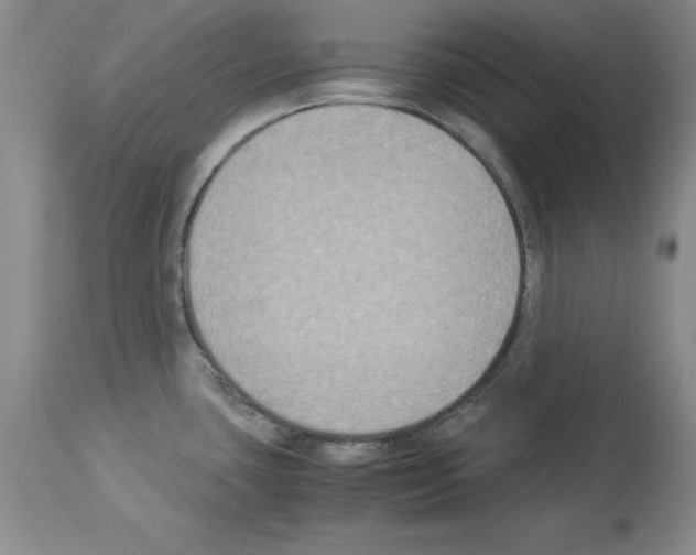 X0000113951435200911061254