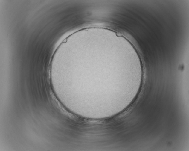 X0000113951436200911061254