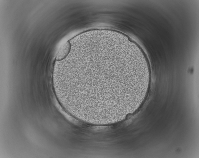 X0000113951437200911061254