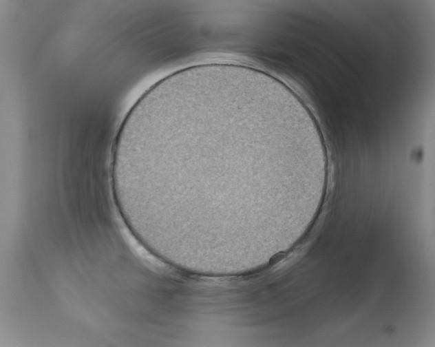 X0000113951438200911061254