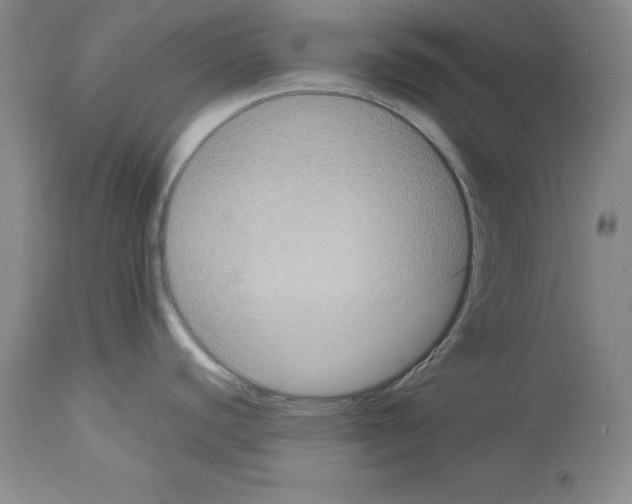 X0000113951440200911061254