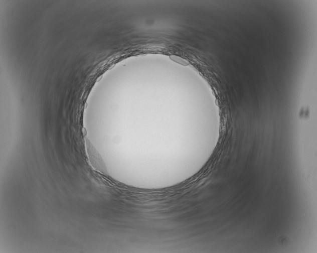 X0000113951441200911061253
