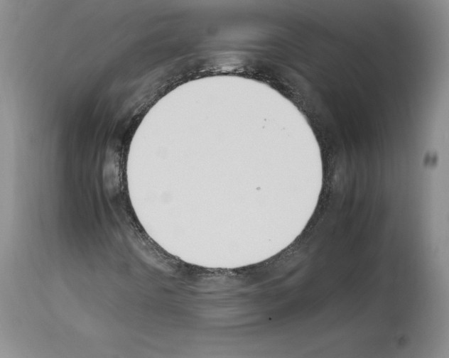X0000113951442200911061253