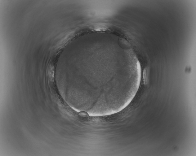 X0000113951443200911061253