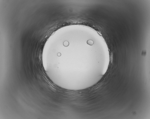 X0000113951444200911061253