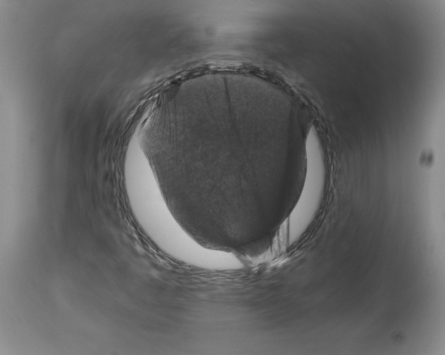 X0000113951445200911061253