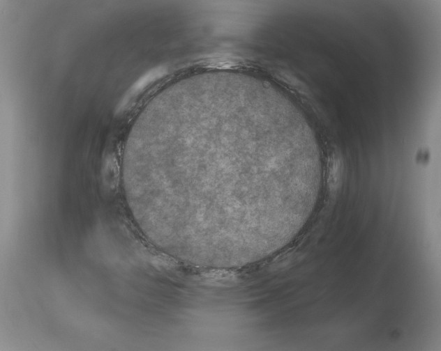 X0000113951446200911061253