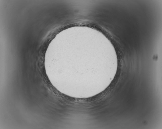 X0000113951447200911061253