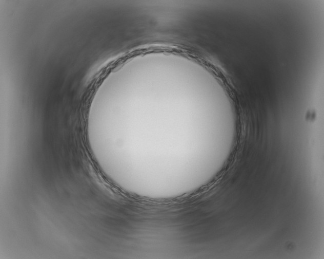 X0000113951448200911061253