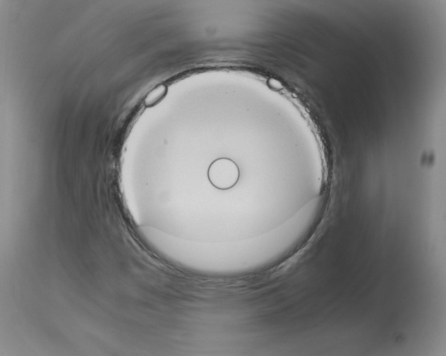 X0000113951449200911061253