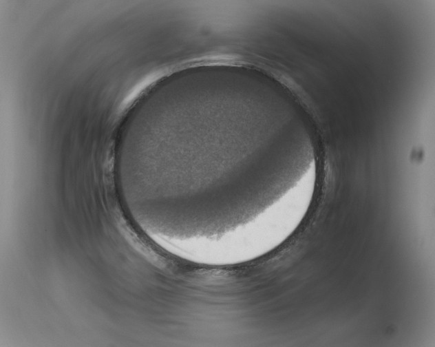 X0000113951450200911061253