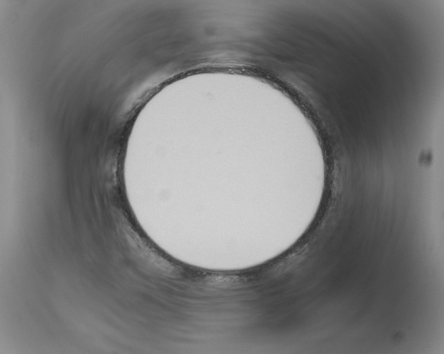 X0000113951451200911061253