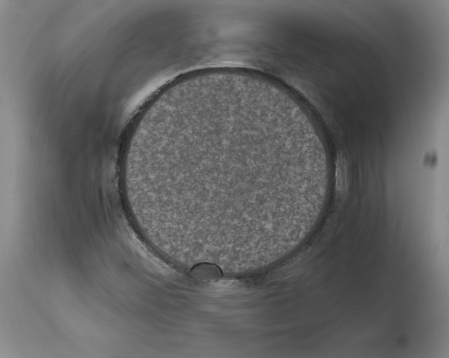X0000113951452200911061253