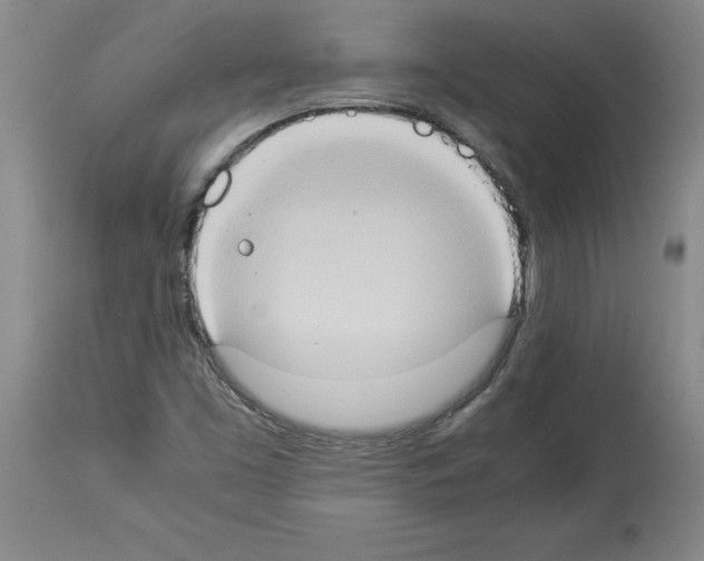 X0000113951453200911061253