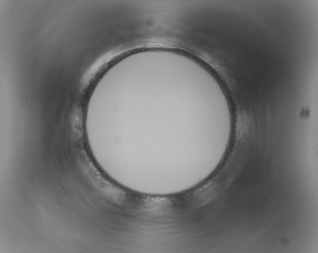 X0000113951454200911061253
