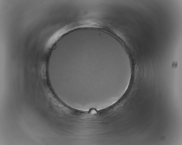 X0000113951455200911061253