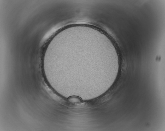 X0000113951456200911061253