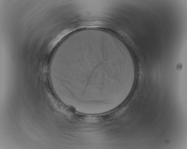 X0000113951457200911061253