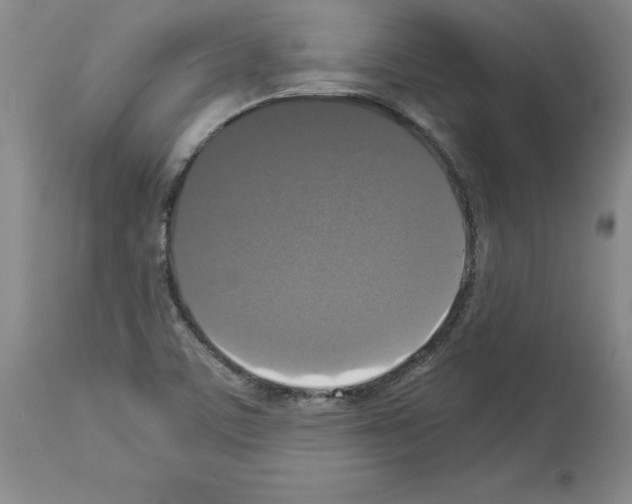 X0000113951459200911061253